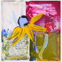 Der hvor bierne hvisker - 10x10